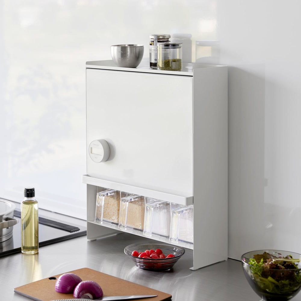 Concealable Steel Spice Rack