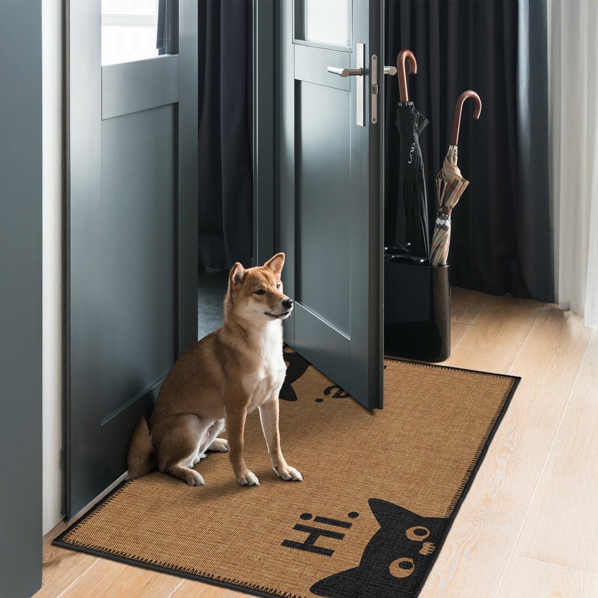 FLASHRUG Karisimbi Washable Hi Bye Cat Doormat