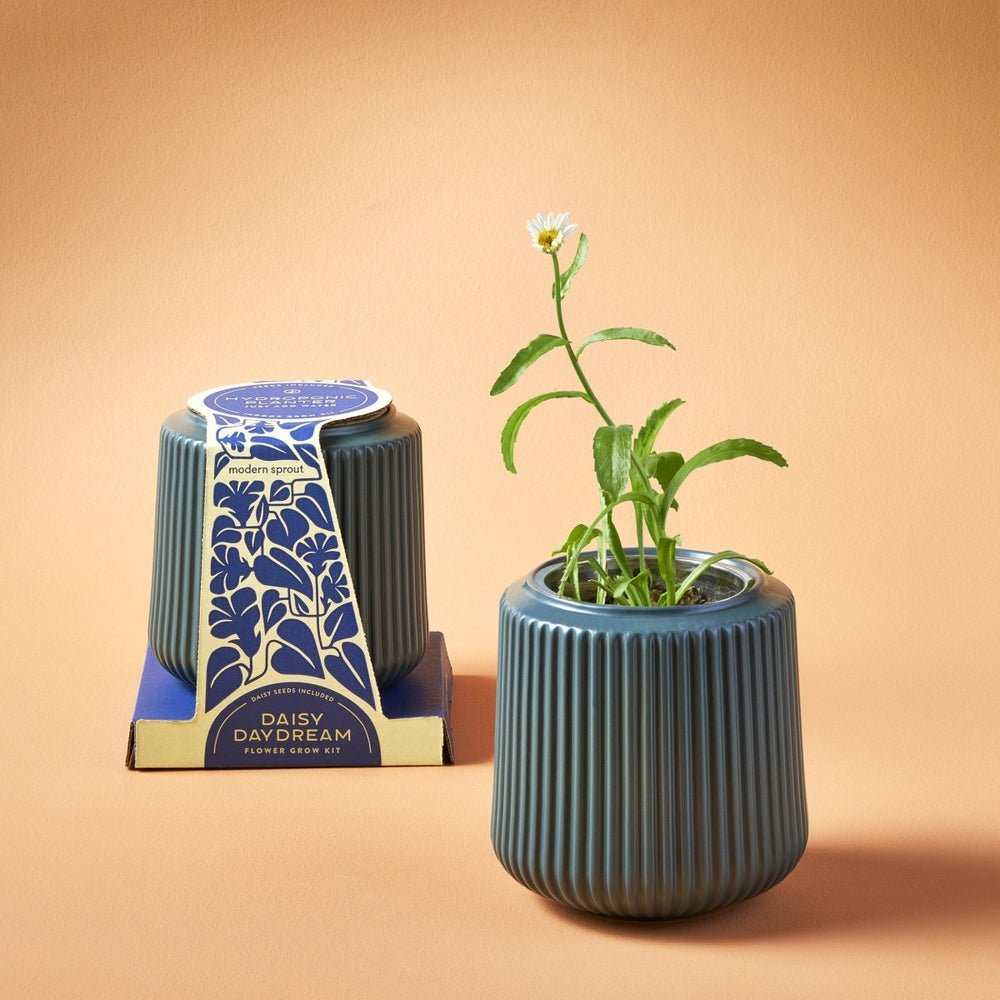 
                      
                        Modern Sprout Flower Hydroponic Grow Kit - lily & onyx
                      
                    