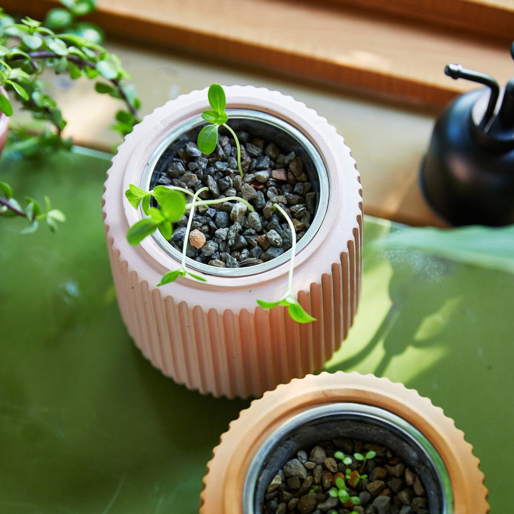 
                      
                        Modern Sprout Flower Hydroponic Grow Kit - lily & onyx
                      
                    