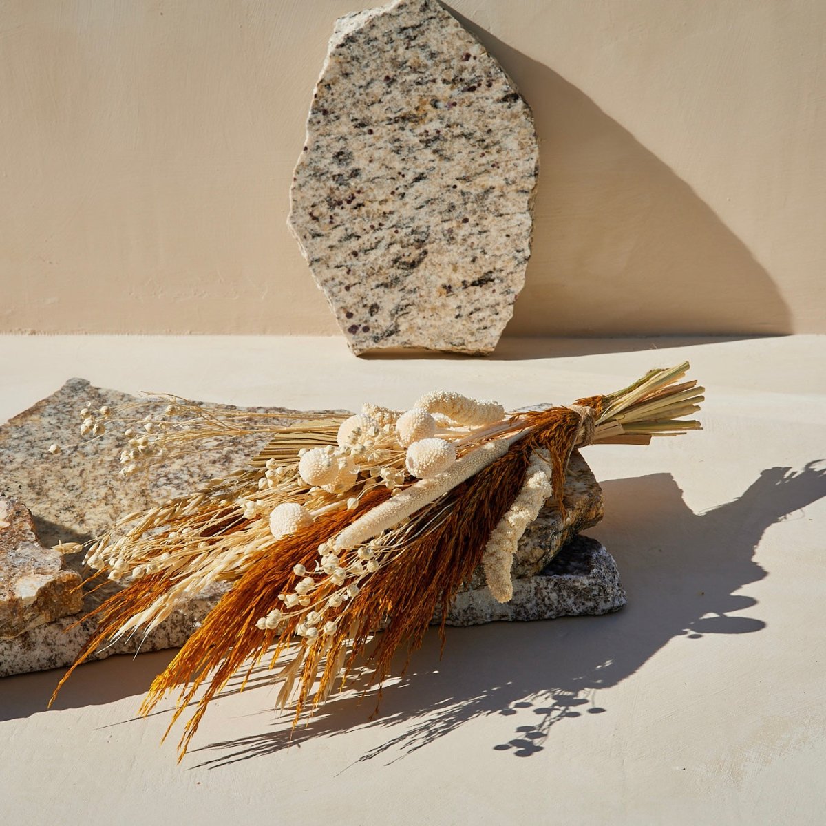 For Love Of Pampas Eterna Dried Set