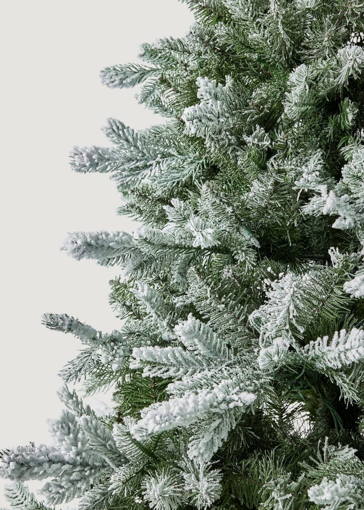 
                      
                        Afloral Frosted Pine Christmas Tree with Pre - Lit LED White Lights - 7.5' - lily & onyx
                      
                    