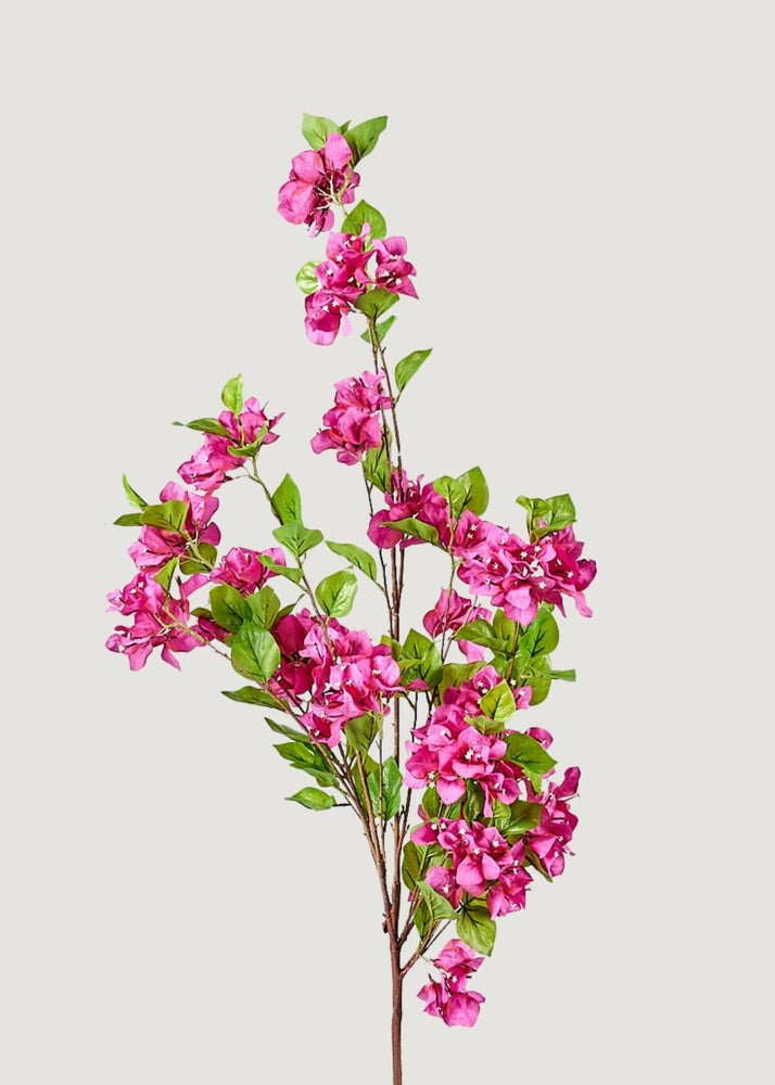 
                      
                        Afloral Fuchsia Faux Bougainvillea Hanging Bush - 43" - lily & onyx
                      
                    