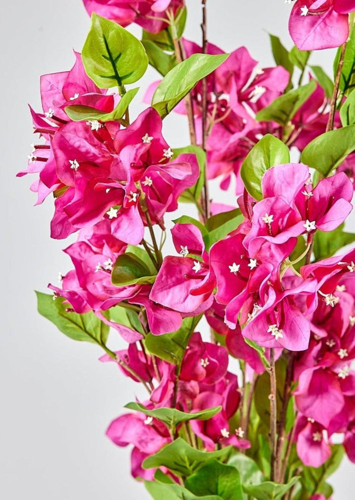 
                      
                        Afloral Fuchsia Faux Bougainvillea Hanging Bush - 43" - lily & onyx
                      
                    