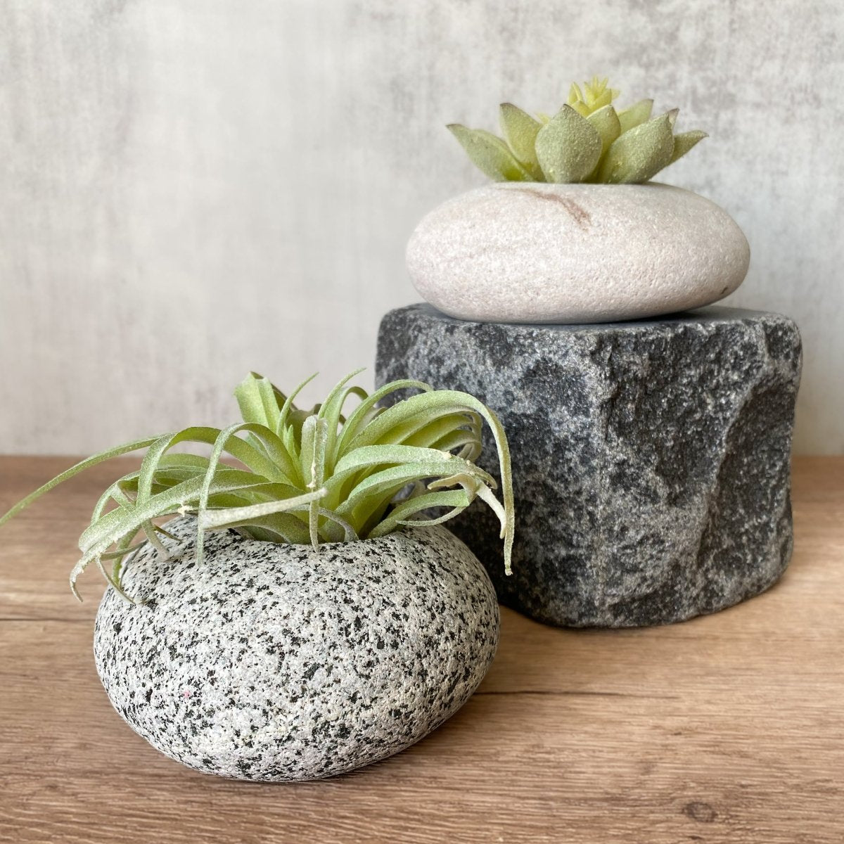 Funky Rock Designs Hand - Carved Natural Stone Succulent Planter