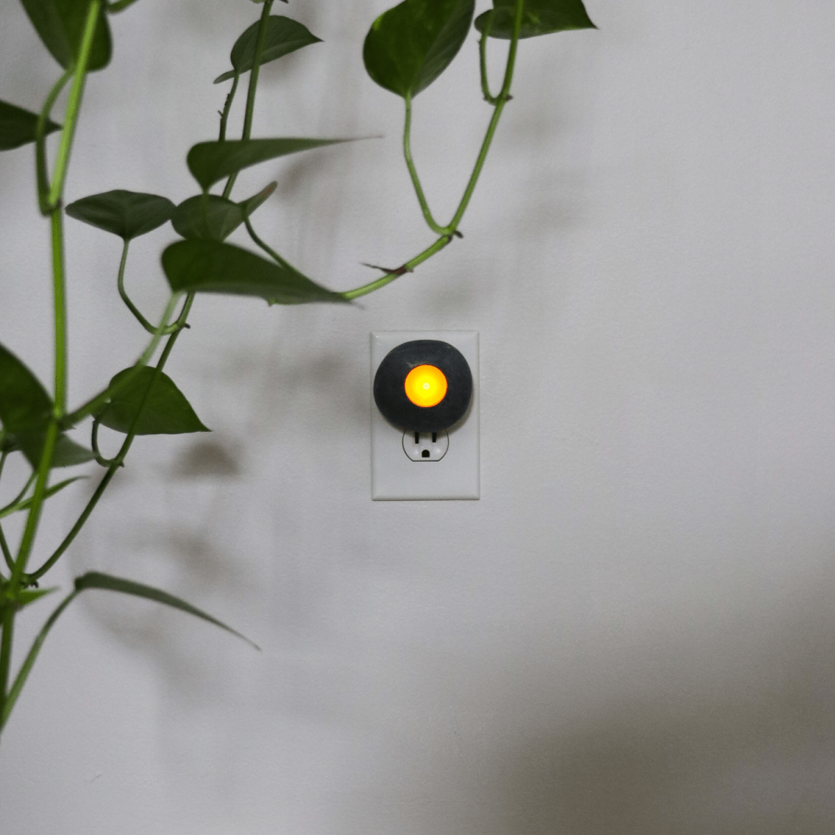 Funky Rock Designs Nature's Nightlight | Natural Sea - Stone LED Night Light