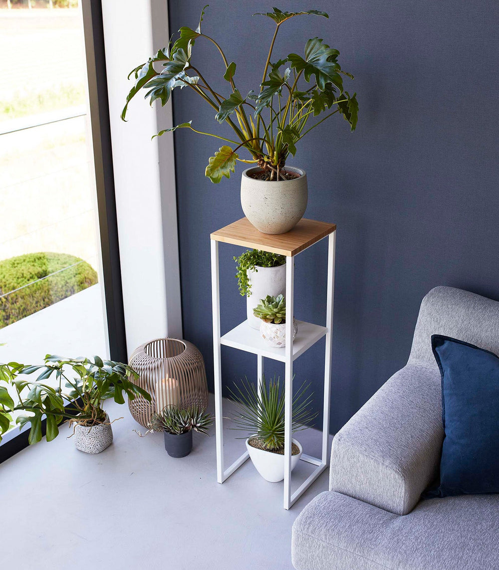 Two-Tier Steel & Wood Display & Storage Shelf, 31.5