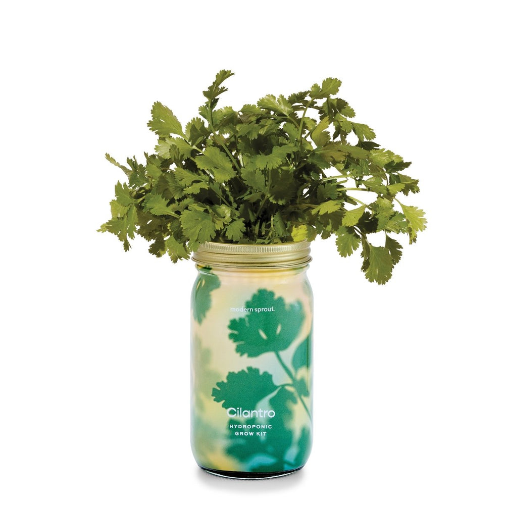 
                      
                        Modern Sprout Garden Jars - Organic Herbs - lily & onyx
                      
                    