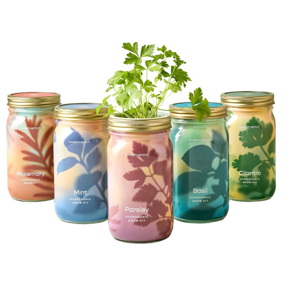 
                      
                        Modern Sprout Garden Jars - Organic Herbs - lily & onyx
                      
                    