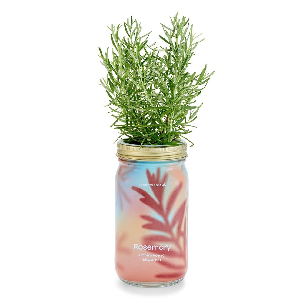 
                      
                        Modern Sprout Garden Jars - Organic Herbs - lily & onyx
                      
                    