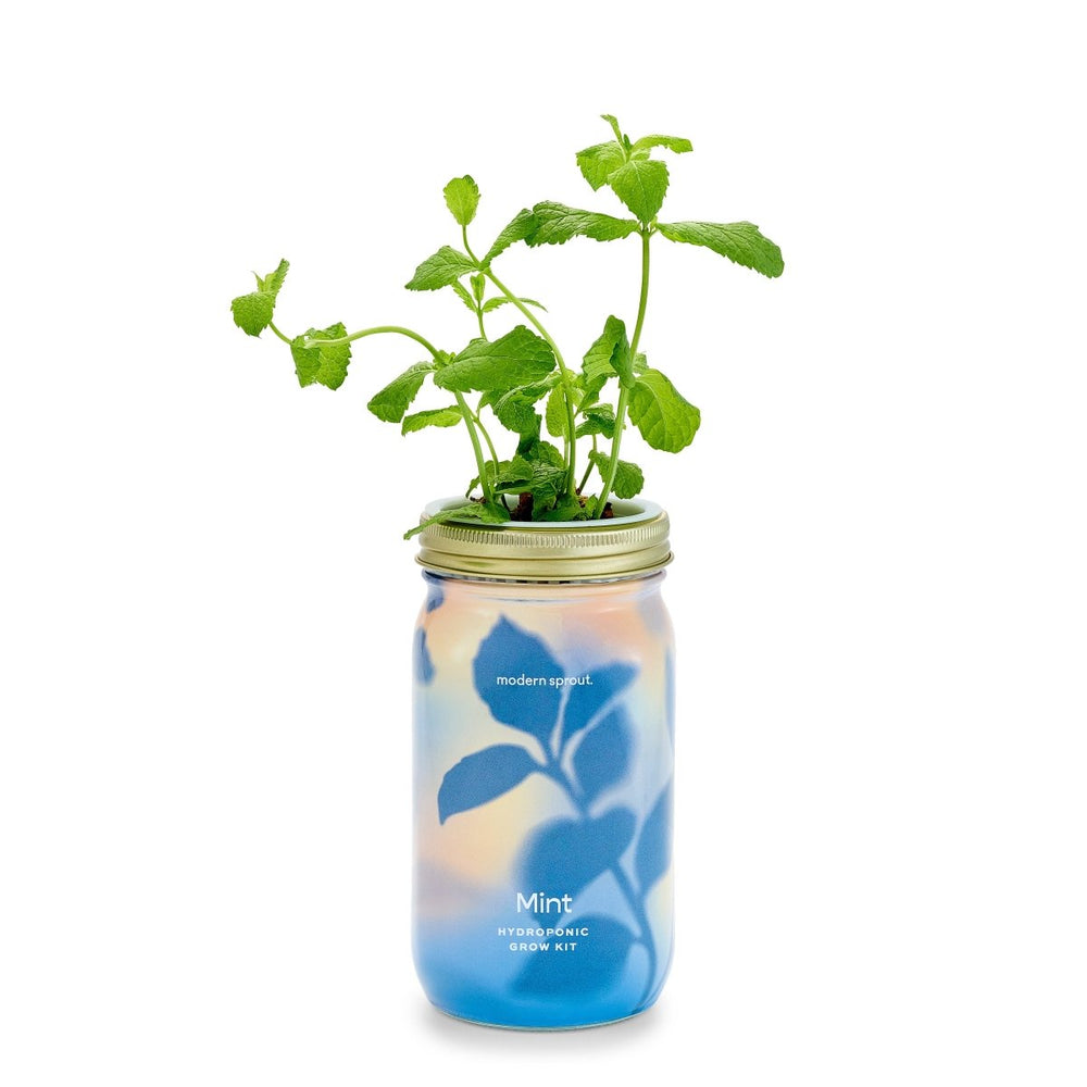 
                      
                        Modern Sprout Garden Jars - Organic Herbs - lily & onyx
                      
                    