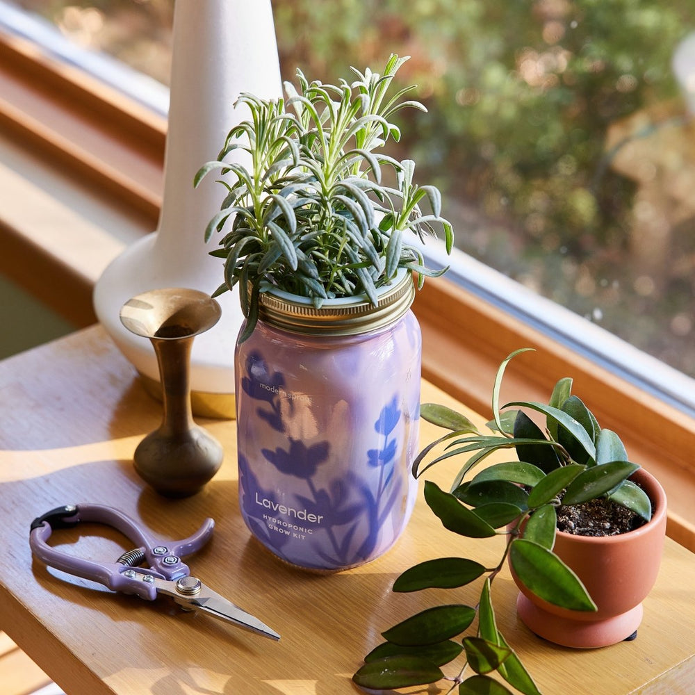 
                      
                        Modern Sprout Garden Jars - Organic Herbs - lily & onyx
                      
                    