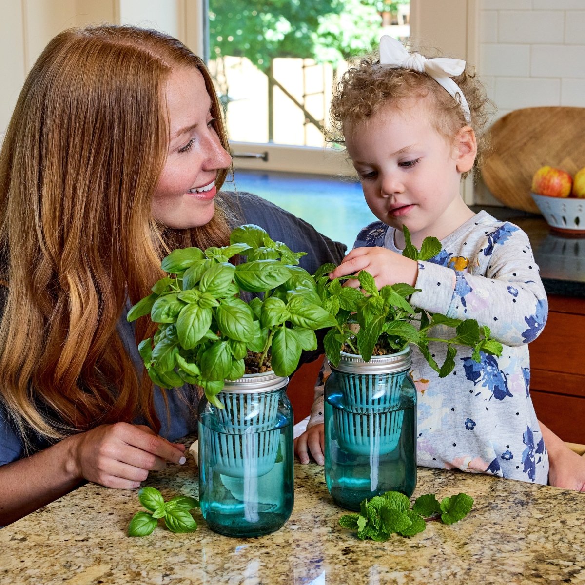 Modern Sprout Garden Jars - Organic Herbs - lily & onyx