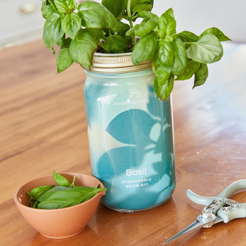 
                      
                        Modern Sprout Garden Jars - Organic Herbs - lily & onyx
                      
                    