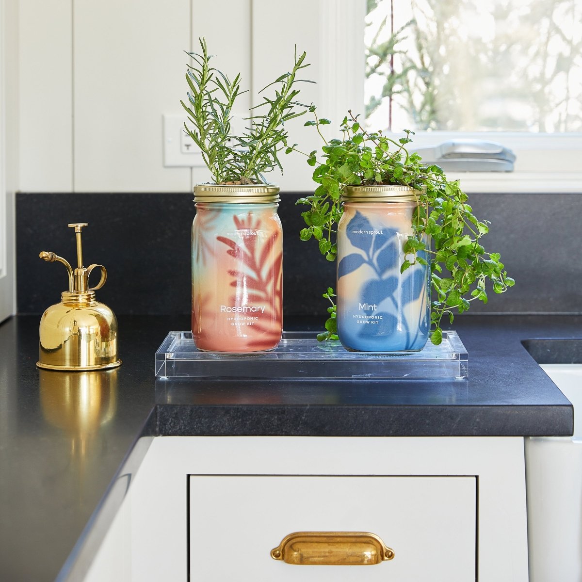 Modern Sprout Garden Jars - Organic Herbs - lily & onyx