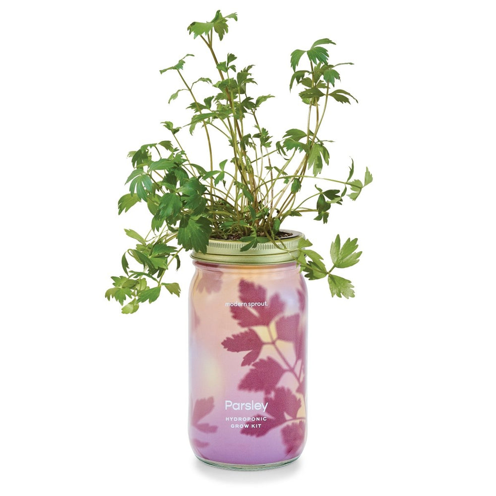 
                      
                        Modern Sprout Garden Jars - Organic Herbs - lily & onyx
                      
                    