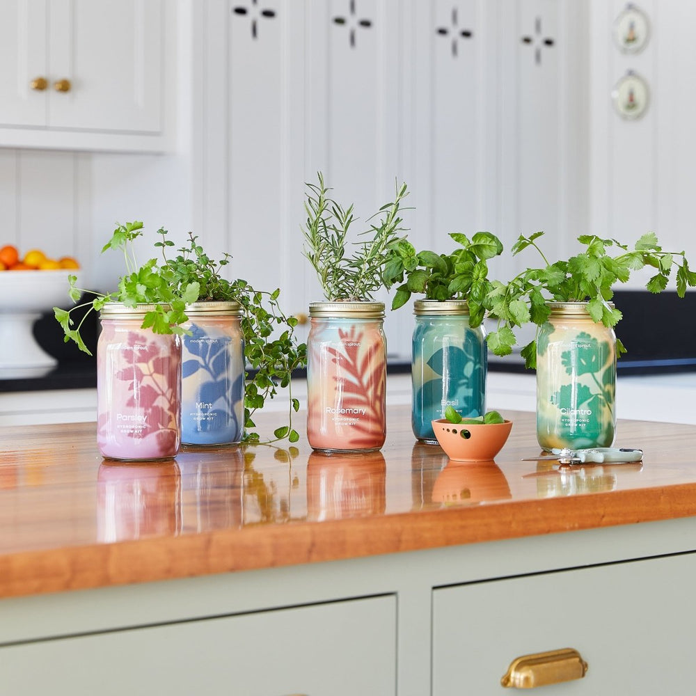 
                      
                        Modern Sprout Garden Jars - Organic Herbs - lily & onyx
                      
                    