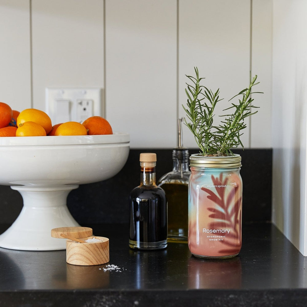 
                      
                        Modern Sprout Garden Jars - Organic Herbs - lily & onyx
                      
                    