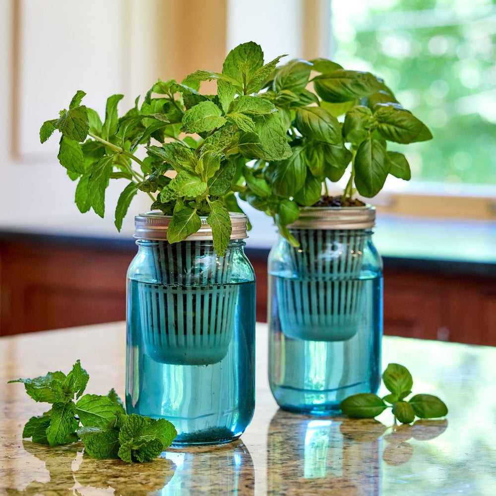 
                      
                        Modern Sprout Garden Jars - Organic Herbs - lily & onyx
                      
                    