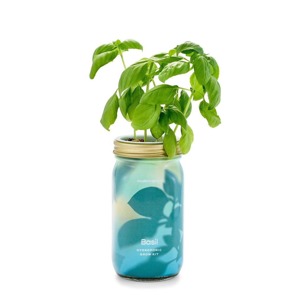 
                      
                        Modern Sprout Garden Jars - Organic Herbs - lily & onyx
                      
                    