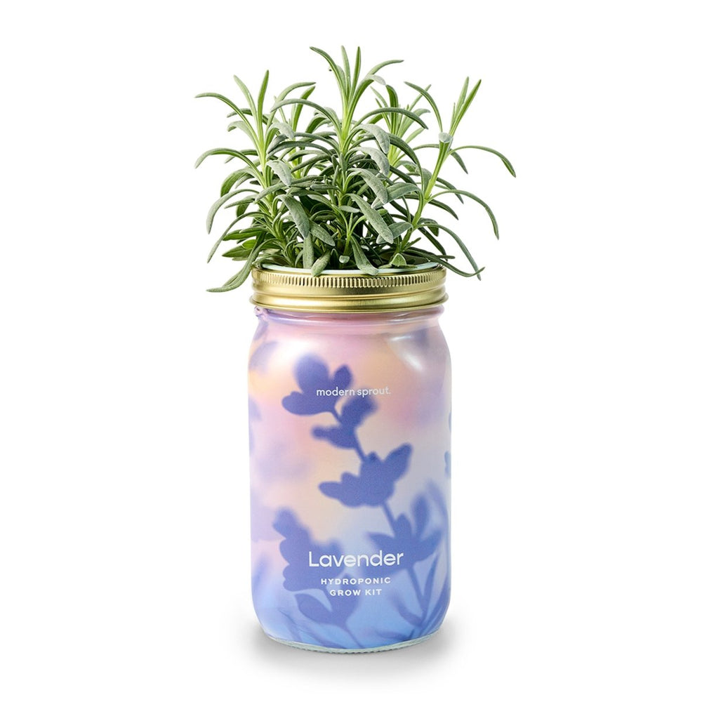 
                      
                        Modern Sprout Garden Jars - Organic Herbs - lily & onyx
                      
                    