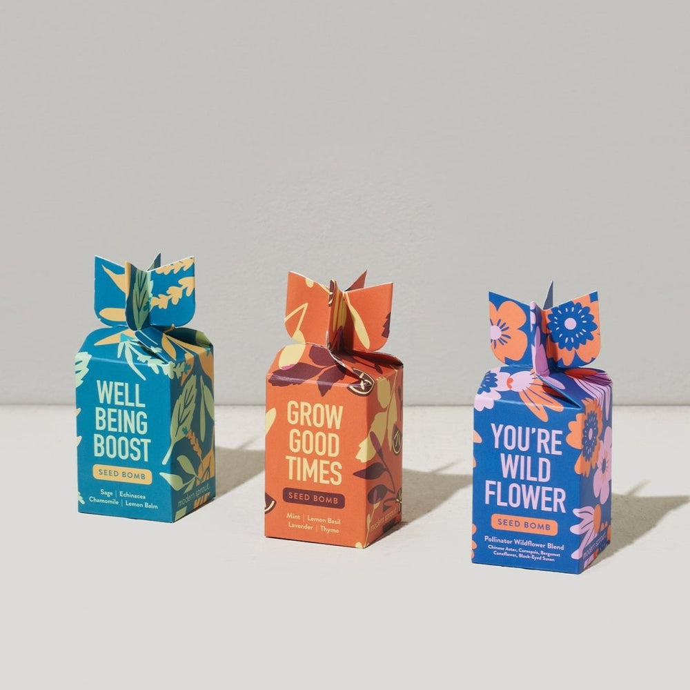 
                      
                        Modern Sprout Garden Seed Bomb - lily & onyx
                      
                    