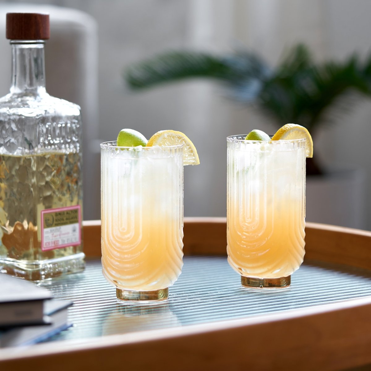 Viski Gatsby Highball Glasses, Set of 2 - lily & onyx