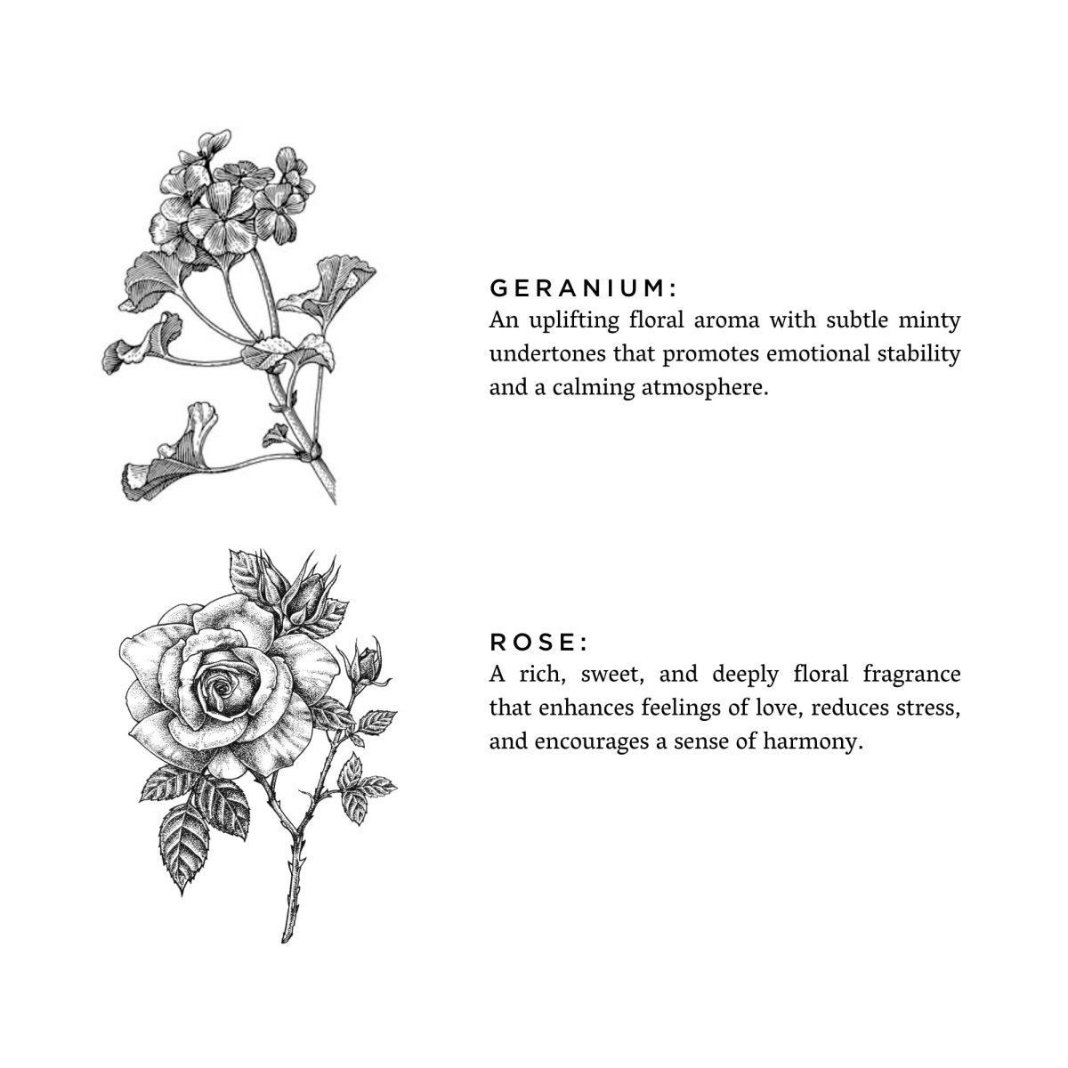Slow North Geranium + Rose Frosted Candle, 8 oz - lily & onyx