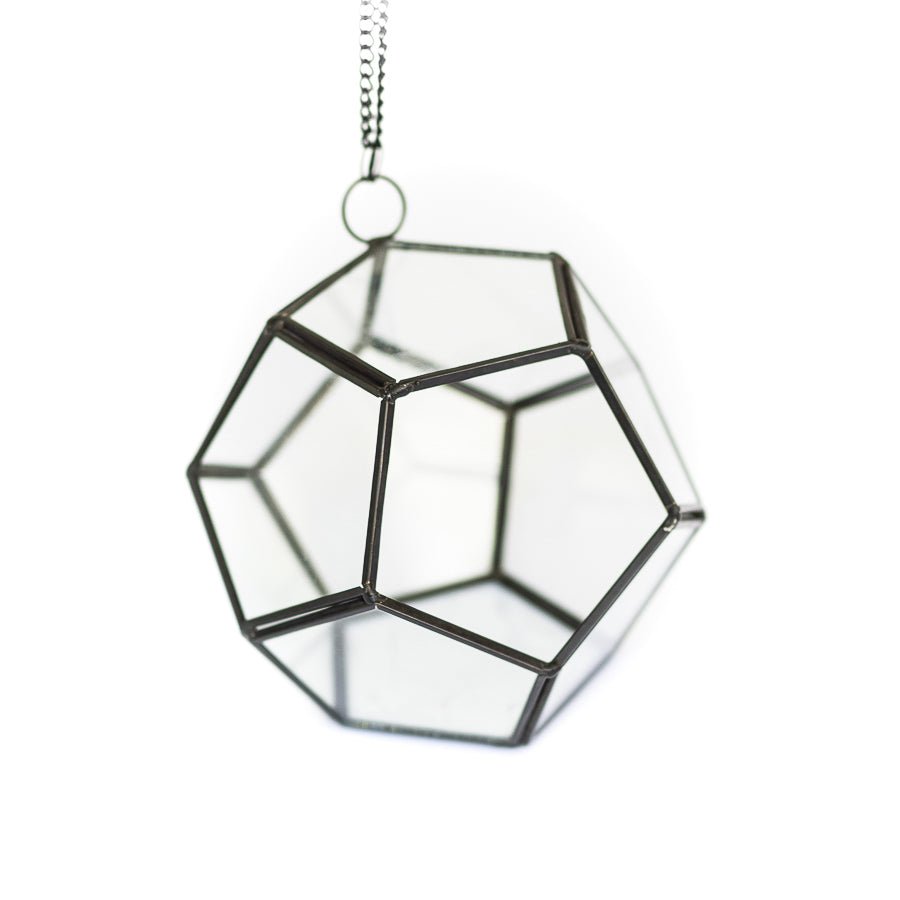 Air Plant Supply Co. Glass Pentagon Terrarium - lily & onyx