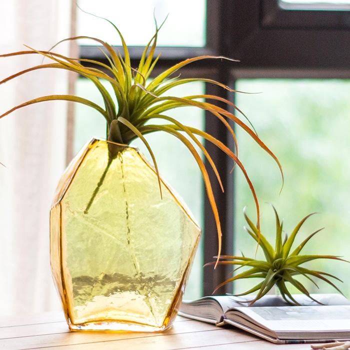 
                      
                        Irregular Shaped Handblown Glass Vase
                      
                    