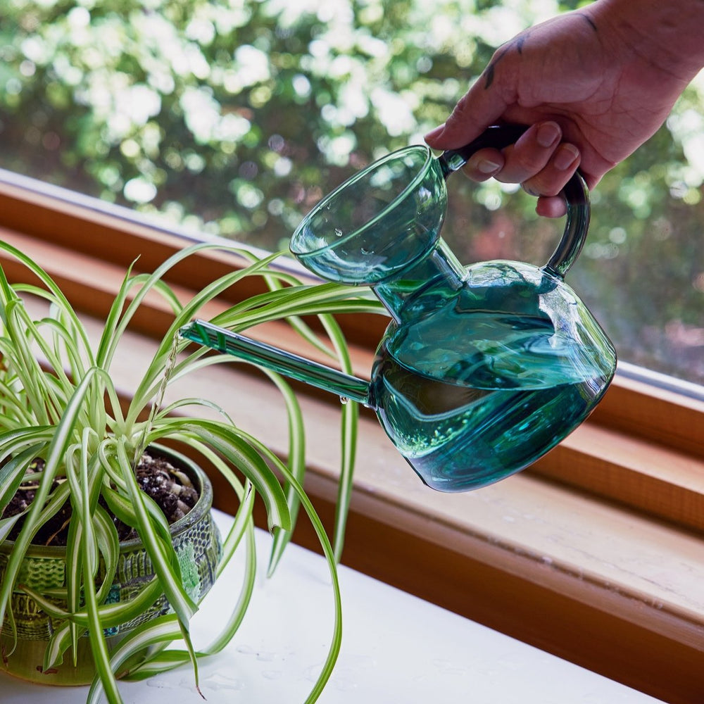 
                      
                        Modern Sprout Glass Watering Can - lily & onyx
                      
                    