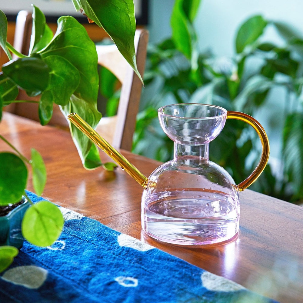 Modern Sprout Glass Watering Can - lily & onyx