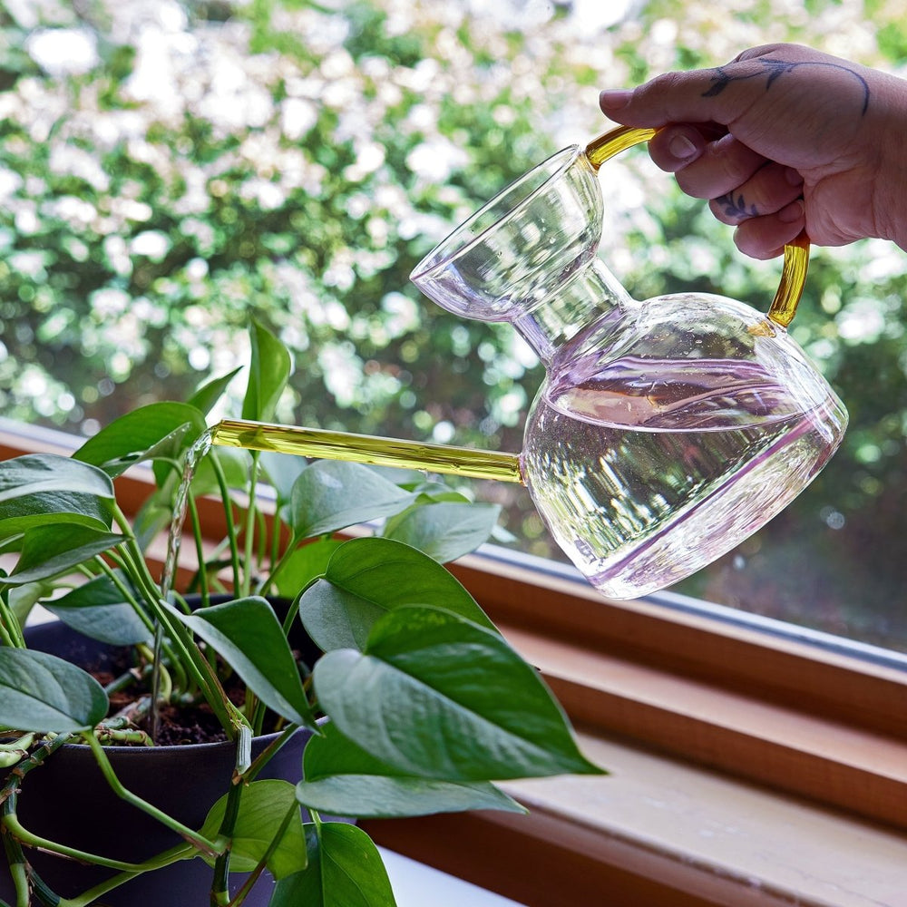 
                      
                        Modern Sprout Glass Watering Can - lily & onyx
                      
                    