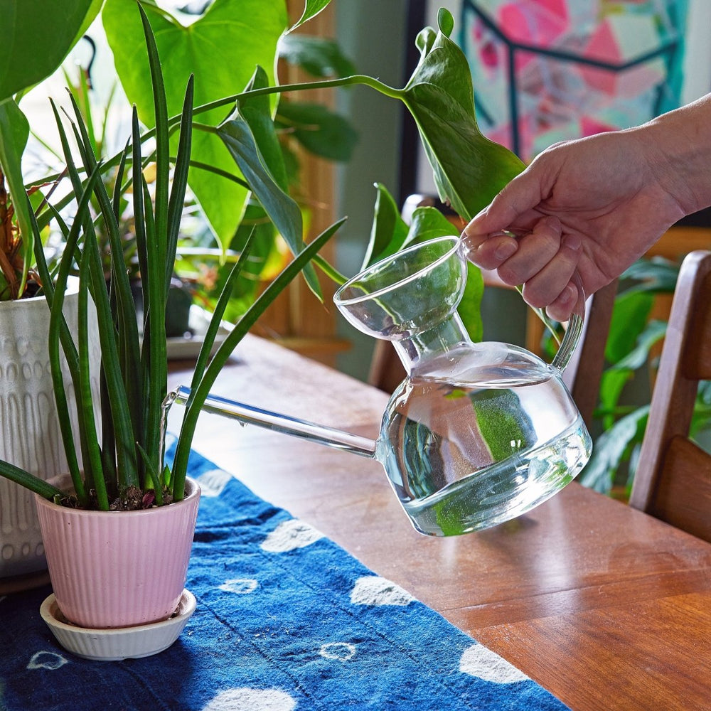 
                      
                        Modern Sprout Glass Watering Can - lily & onyx
                      
                    