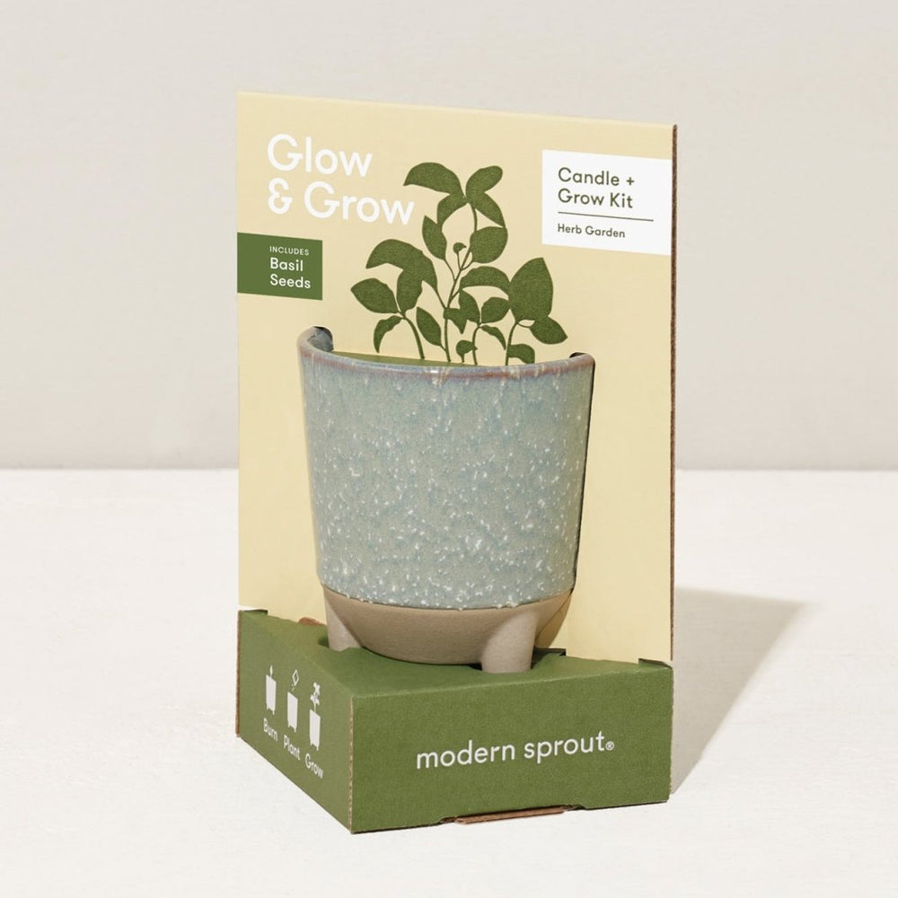 
                      
                        Modern Sprout Glow & Grow Kits - lily & onyx
                      
                    