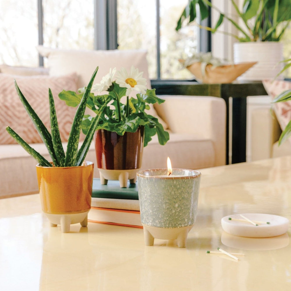 
                      
                        Modern Sprout Glow & Grow Kits - lily & onyx
                      
                    
