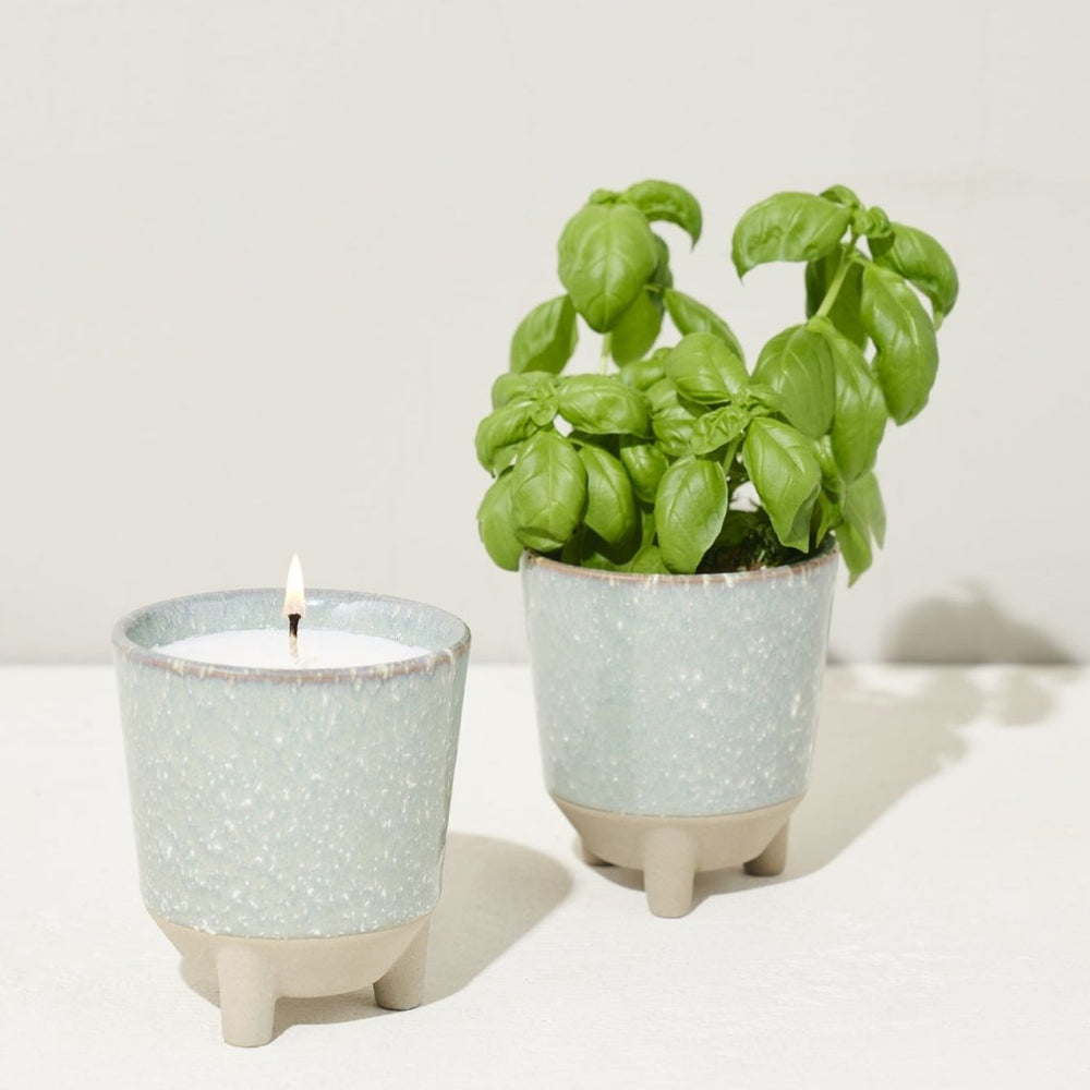 
                      
                        Modern Sprout Glow & Grow Kits - lily & onyx
                      
                    