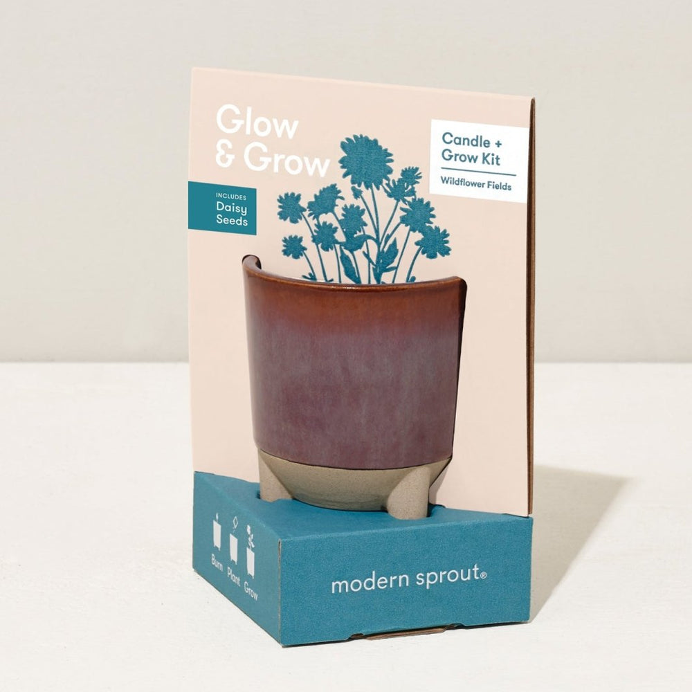 
                      
                        Modern Sprout Glow & Grow Kits - lily & onyx
                      
                    