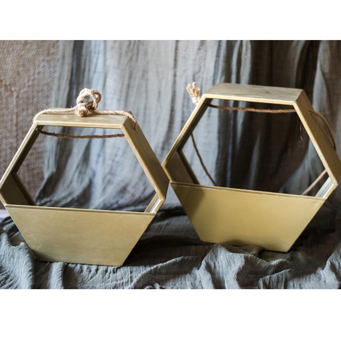 
                      
                        Modern Gold Metal Hexagon Hanging Planter
                      
                    