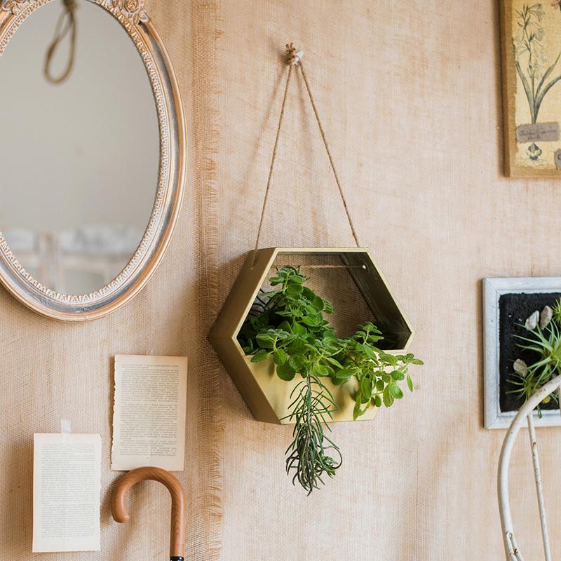 
                      
                        Modern Gold Metal Hexagon Hanging Planter
                      
                    
