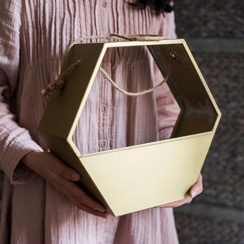Modern Gold Metal Hexagon Hanging Planter