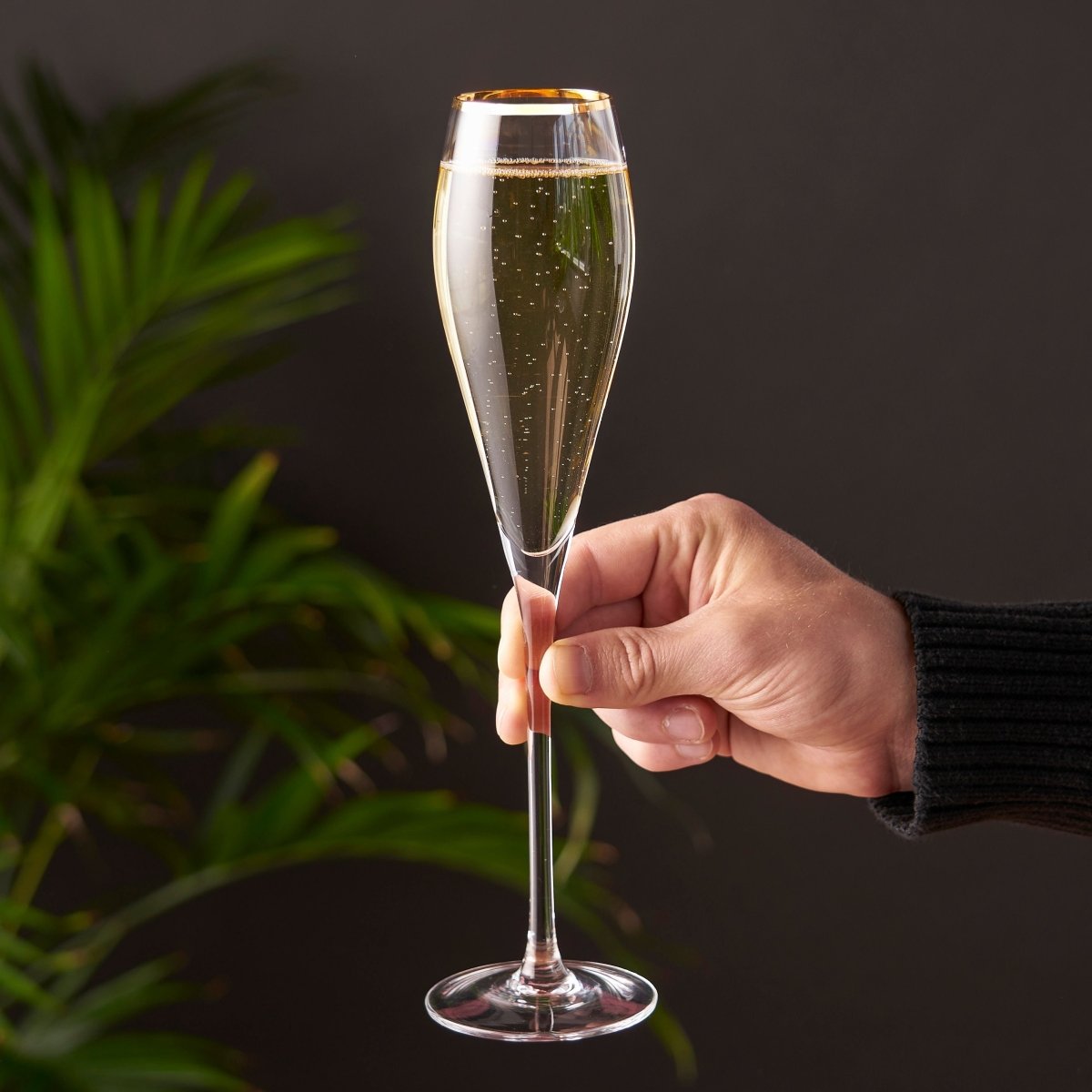 Viski Gold - Rimmed Crystal Champagne Flutes, Set of 2 - lily & onyx