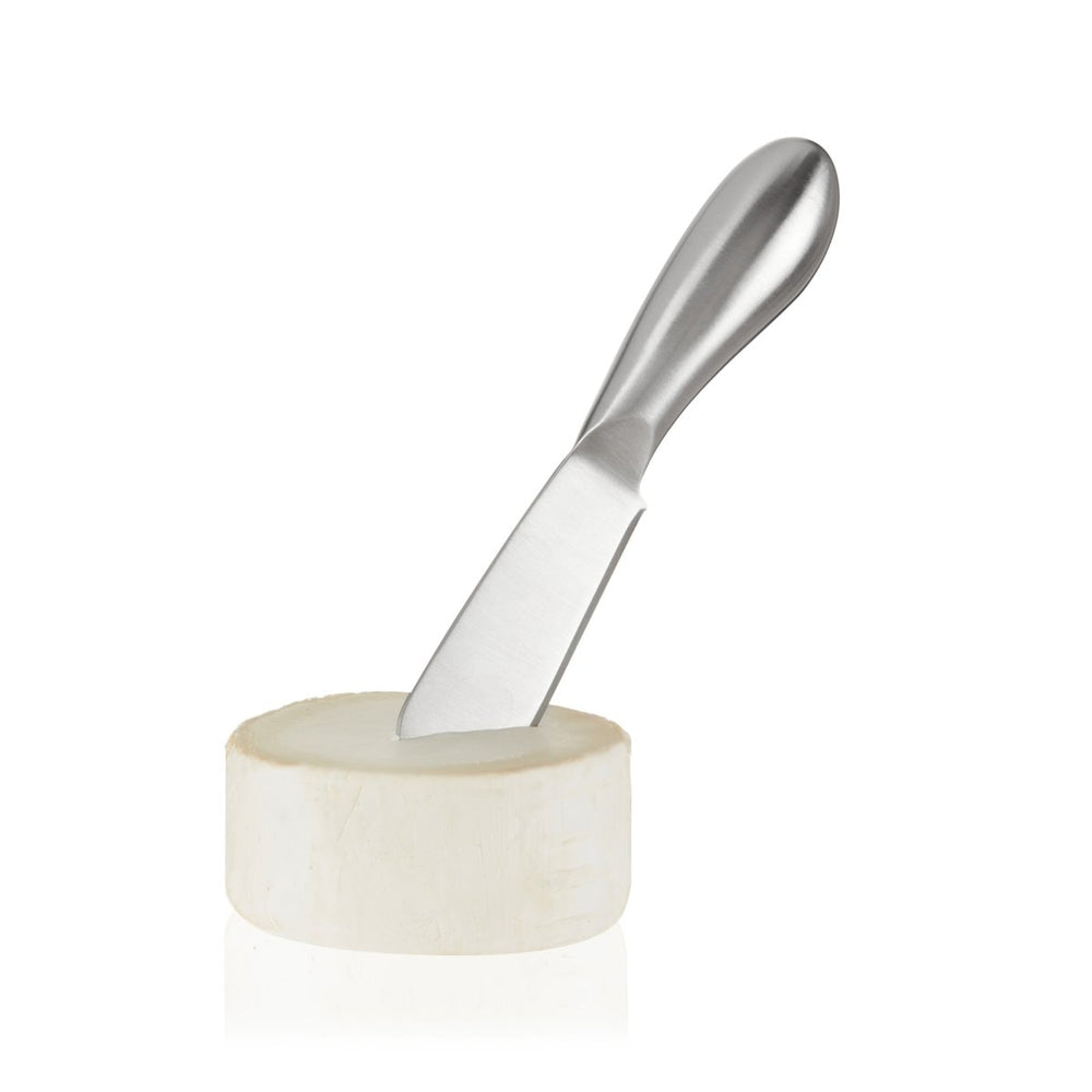 
                      
                        True Gourmet Stainless Steel Cheese Tools, Set of 3 - lily & onyx
                      
                    