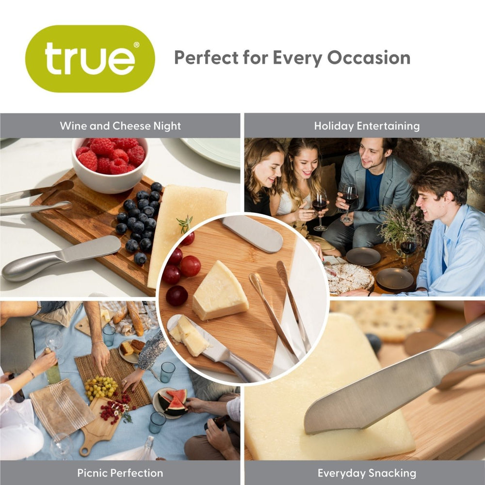 
                      
                        True Gourmet Stainless Steel Cheese Tools, Set of 3 - lily & onyx
                      
                    
