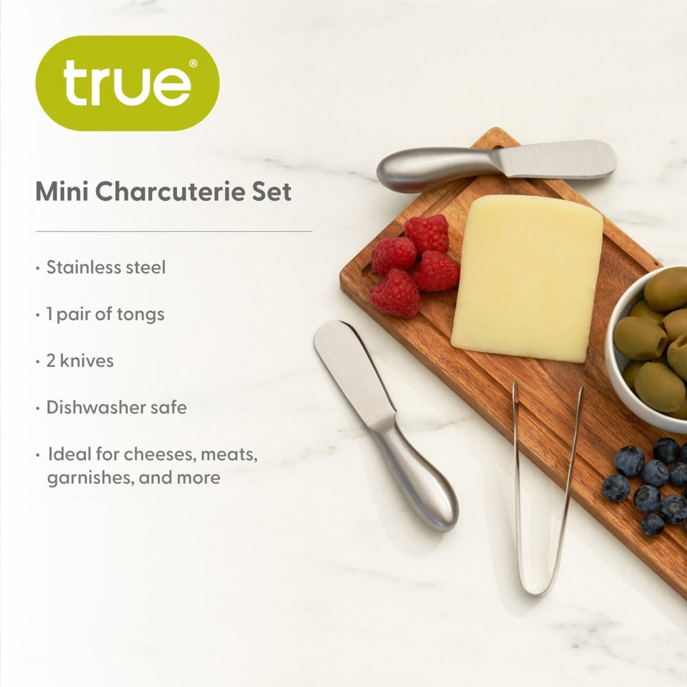 
                      
                        True Gourmet Stainless Steel Cheese Tools, Set of 3 - lily & onyx
                      
                    