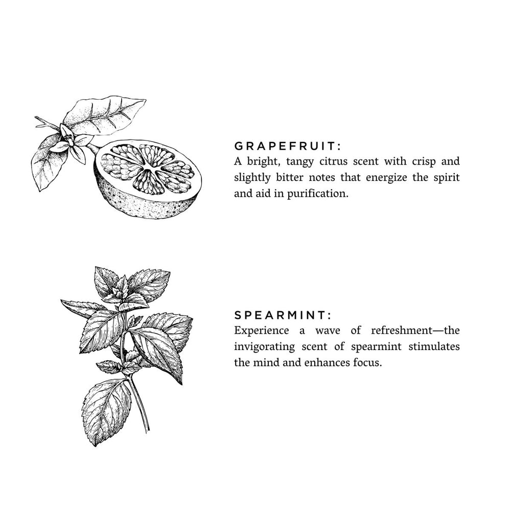 
                      
                        Slow North Grapefruit + Spearmint Frosted Candle, 8 oz - lily & onyx
                      
                    