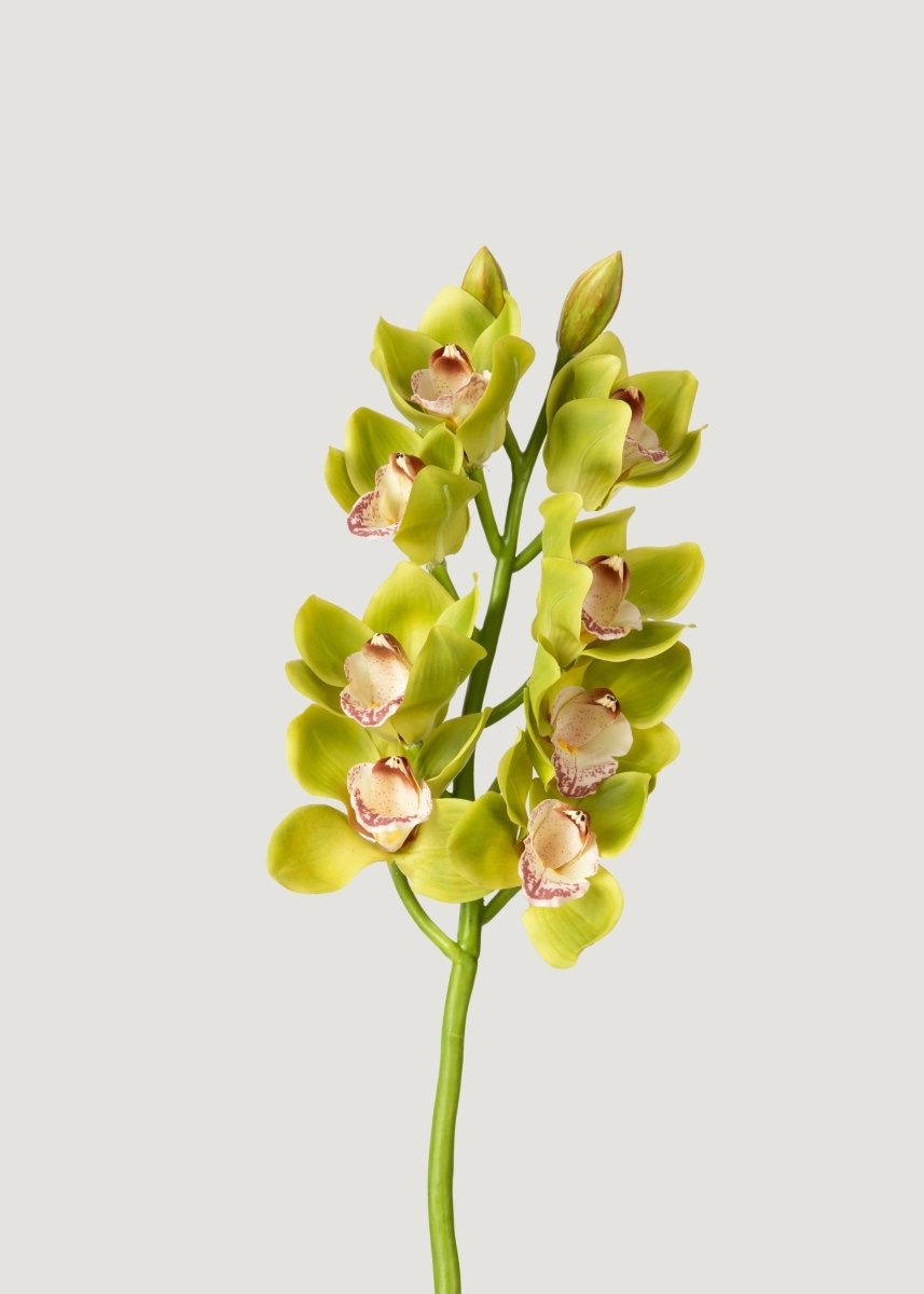 Afloral Green Burgundy Faux Cymbidium Orchids - 28.5