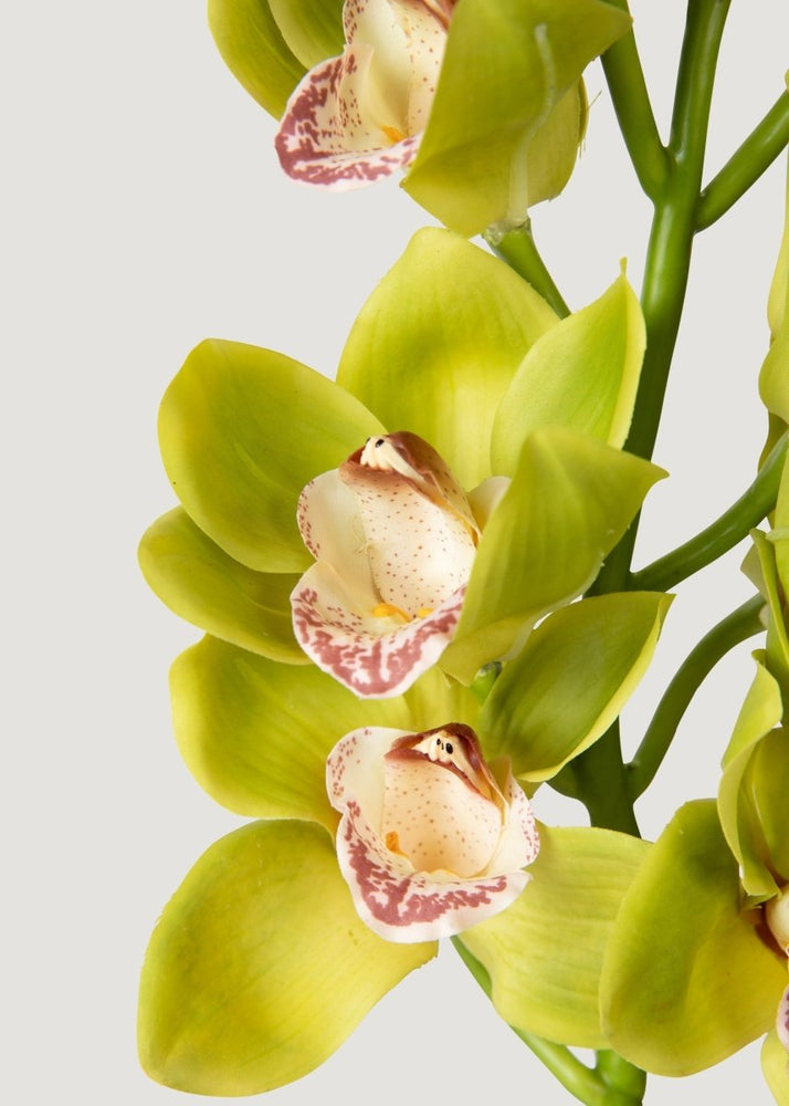 
                      
                        Afloral Green Burgundy Faux Cymbidium Orchids - 28.5" - lily & onyx
                      
                    