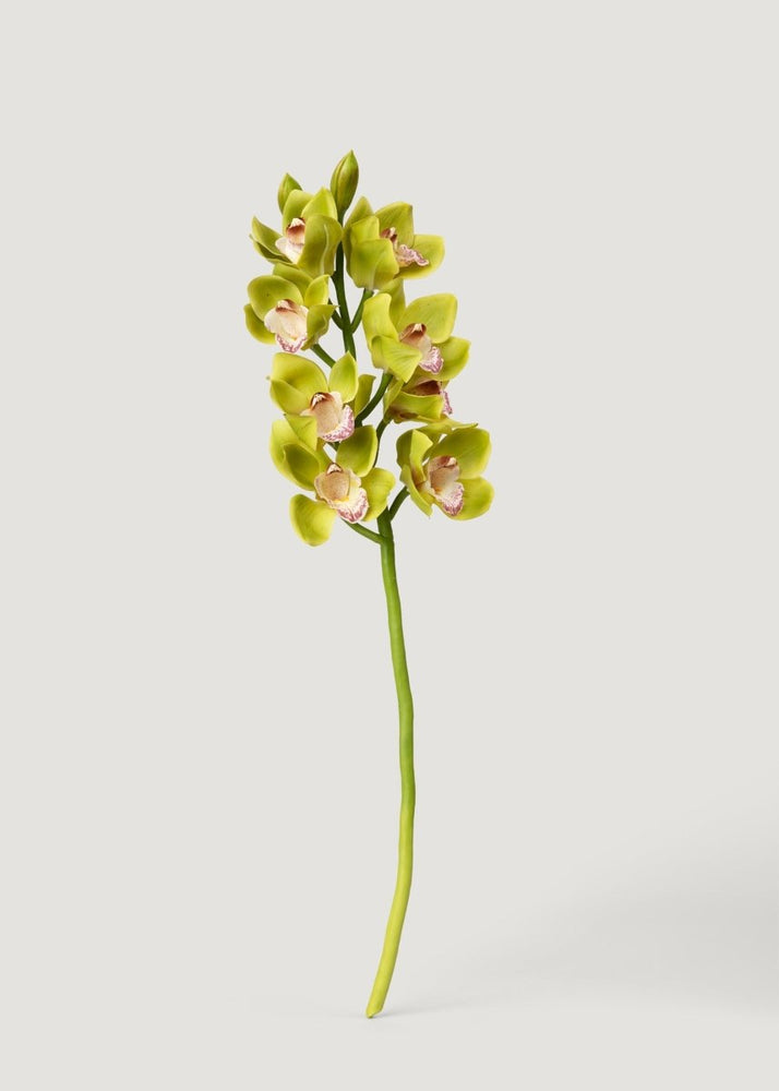 
                      
                        Afloral Green Burgundy Faux Cymbidium Orchids - 28.5" - lily & onyx
                      
                    