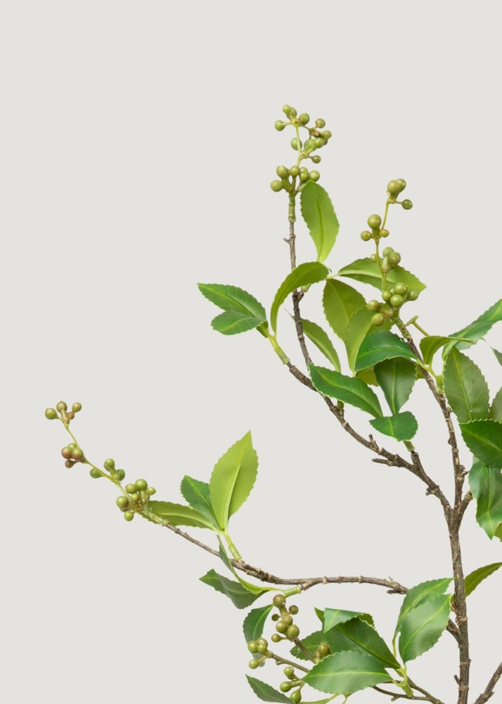 
                      
                        Afloral Green Chokeberry Artificial Berries Branch - 39" - lily & onyx
                      
                    